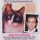 Illustration for article titled This Week In Tabloids: Brad and Angie Are Divorcing Because Shes Jealous of Selena Gomez?